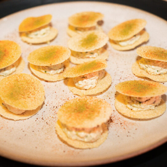 SALPICÃO DE TAMBAQUI